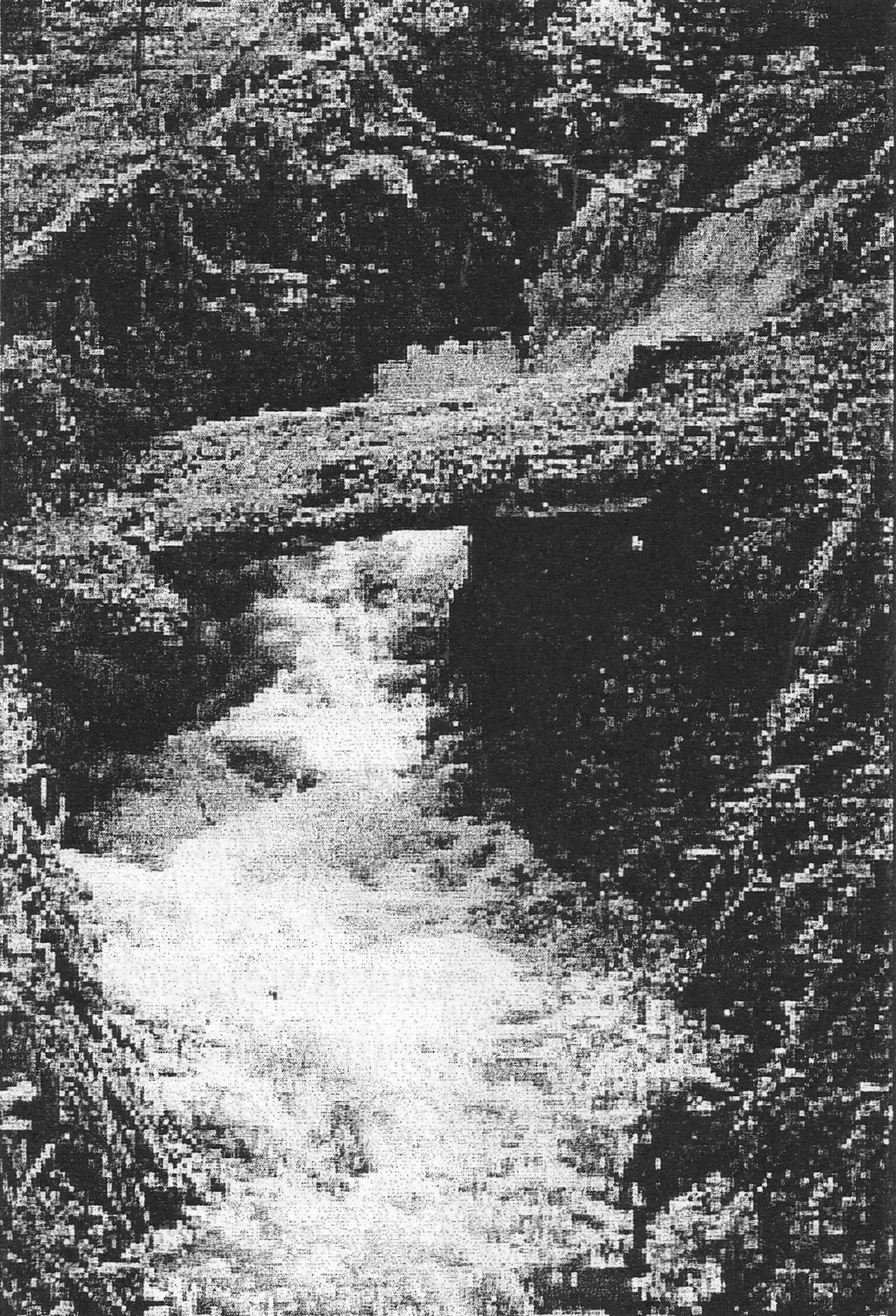 Sturzbach im Dorf